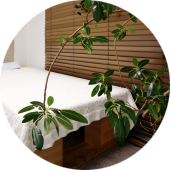 ヒーリング・ベッド